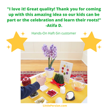 Load image into Gallery viewer, Hands-On Haft-Sin™️