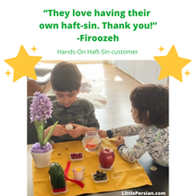 Load image into Gallery viewer, Hands-On Haft-Sin™️