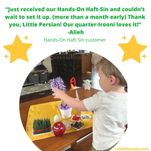 Load image into Gallery viewer, Hands-On Haft-Sin™️