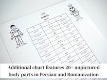 Load image into Gallery viewer, Persian / Farsi Body Parts Learning Set