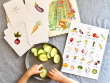 Load image into Gallery viewer, Persian / Farsi Vegetable Learning Set