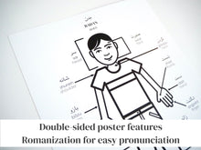 Load image into Gallery viewer, Persian / Farsi Body Parts Learning Set
