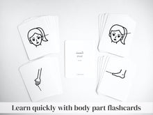 Load image into Gallery viewer, Persian / Farsi Body Parts Learning Set