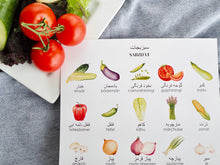 Load image into Gallery viewer, Persian Chef Bundle
