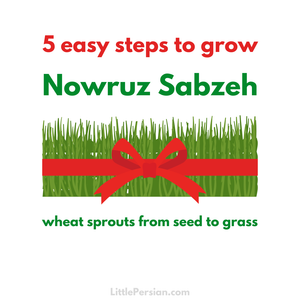 How to Grow Nowruz Sabzeh / Sprouts – Little Persian