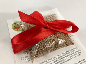 Nowruz Sabzeh Seed Kit