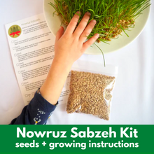 Load image into Gallery viewer, Nowruz Sabzeh Seed Kit
