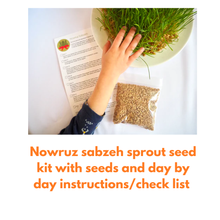 Load image into Gallery viewer, Nowruz Activity Kit
