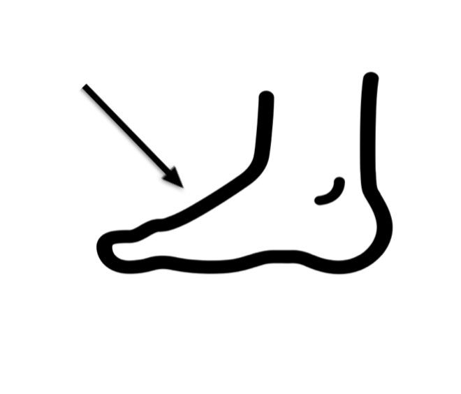 foot