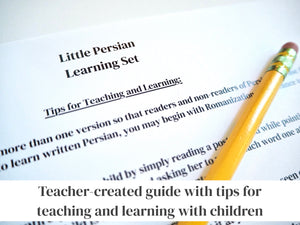 Persian / Farsi Shapes Learning Set