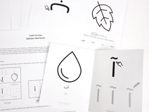 Persian / Farsi Alphabet Big Easy Box Set